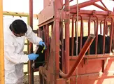 WhatsApp Image 2026-08-25 at 3.22.15 PM