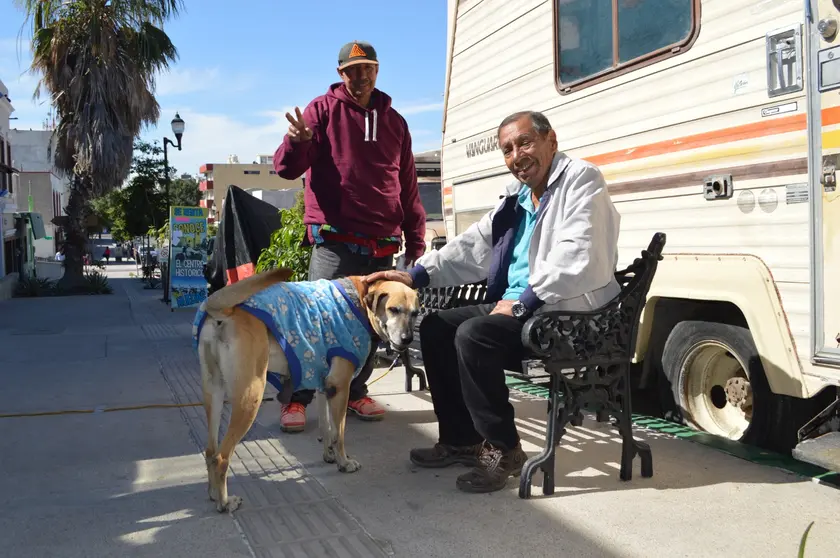 La adecuada inmunización de perros y gatos evita que infecten con este virus a los seres humanos
