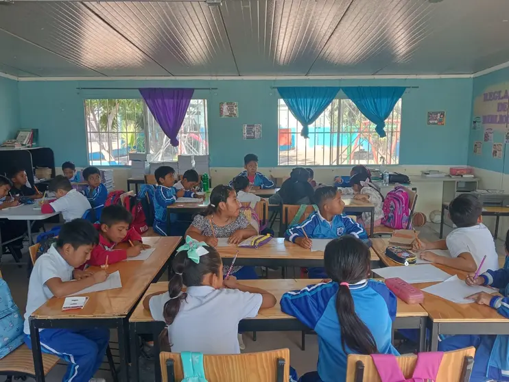 SEP proporciona educación básica a más de 2 mil alumnos migrantes en campos agrícolas.