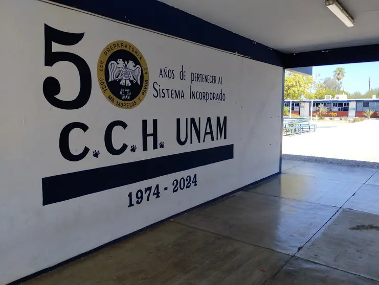 IMG_20241011_095236396