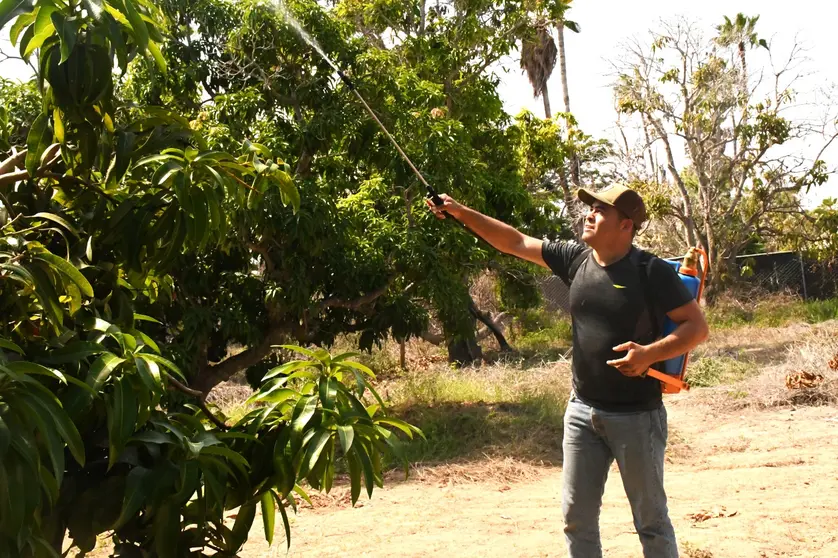 WhatsApp Image 2026-04-27 at 3.44.19 PM