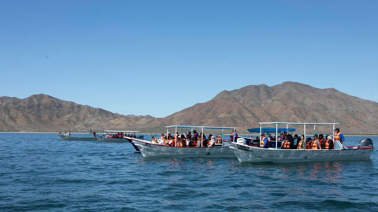 Gobierno de Milena Quiroga impulsa inclusión en experiencias turísticas