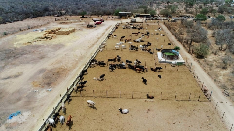 SEPADA impulsa acciones para fortalecer al sector primario en Los Cabos