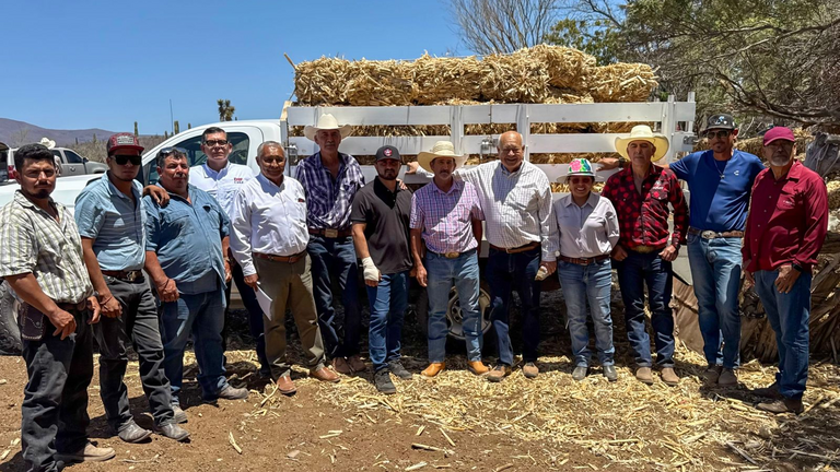 SEPADA entrega 300 pacas de sorgo forrajero