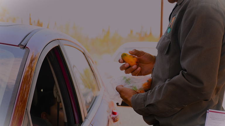 SEPADA mantiene libre de mosca de la fruta a BCS