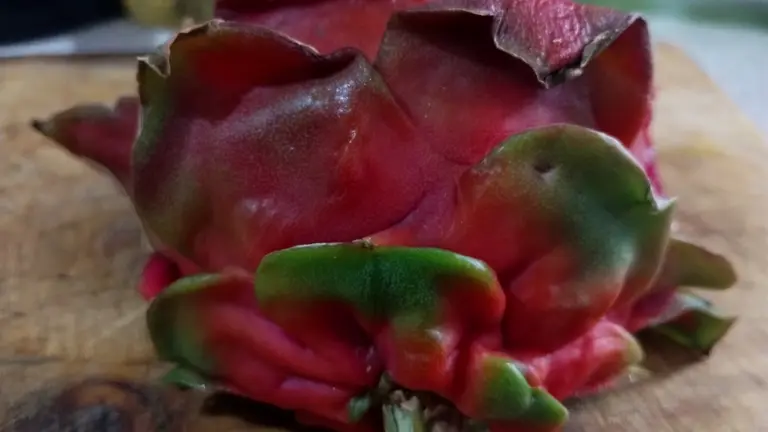 Pitahaya dragón abre camino en el Valle de Santo Domingo