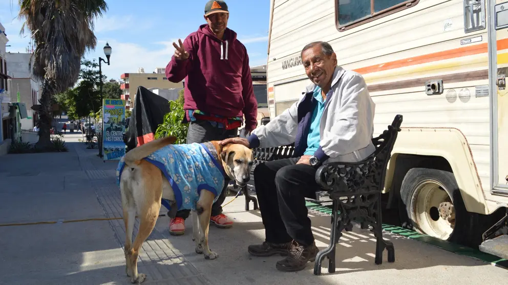 La adecuada inmunización de perros y gatos evita que infecten con este virus a los seres humanos